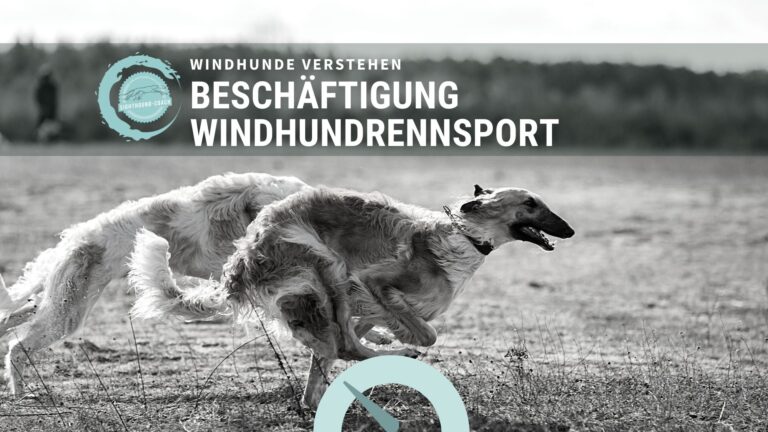 Beschäftigung für Windhund & Podenco. Windhundrennsport.