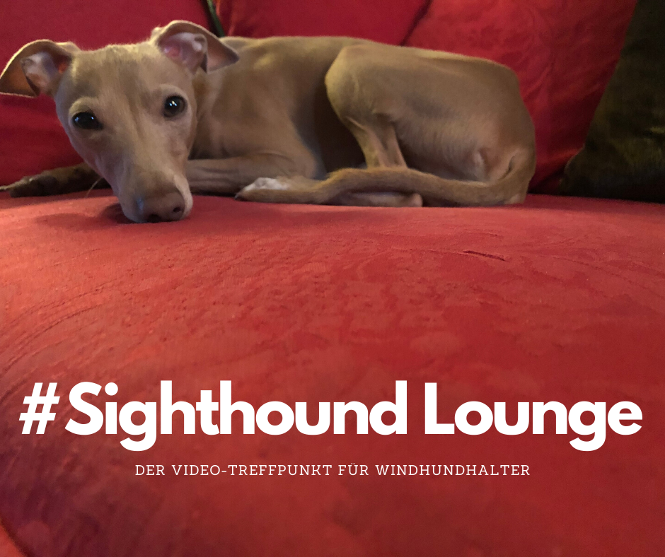 Die Sighthound Lounge