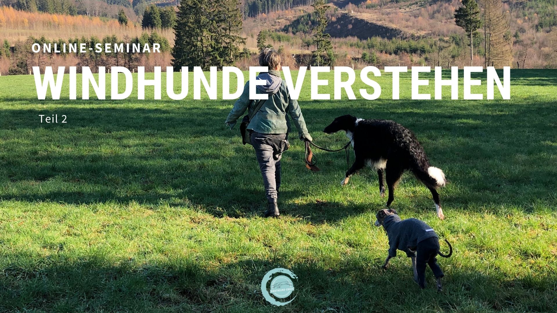 “Windhunde verstehen” Teil 2