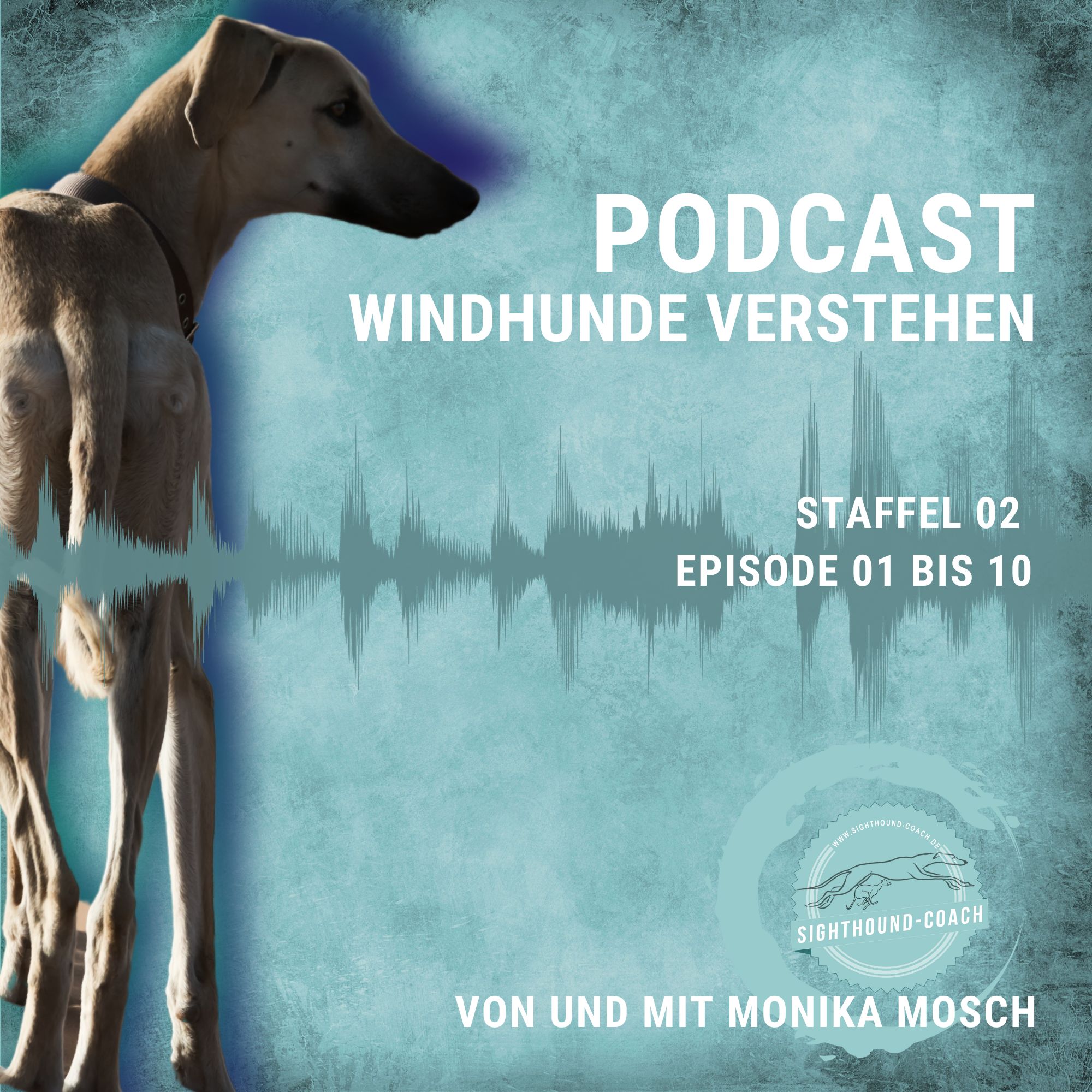 Staffel 02 “Windhunde verstehen” Episode 01-10