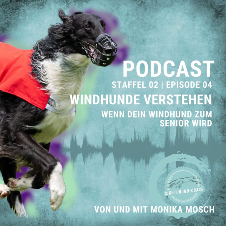 Windhundpodcast Staffel 02 - Episode 04